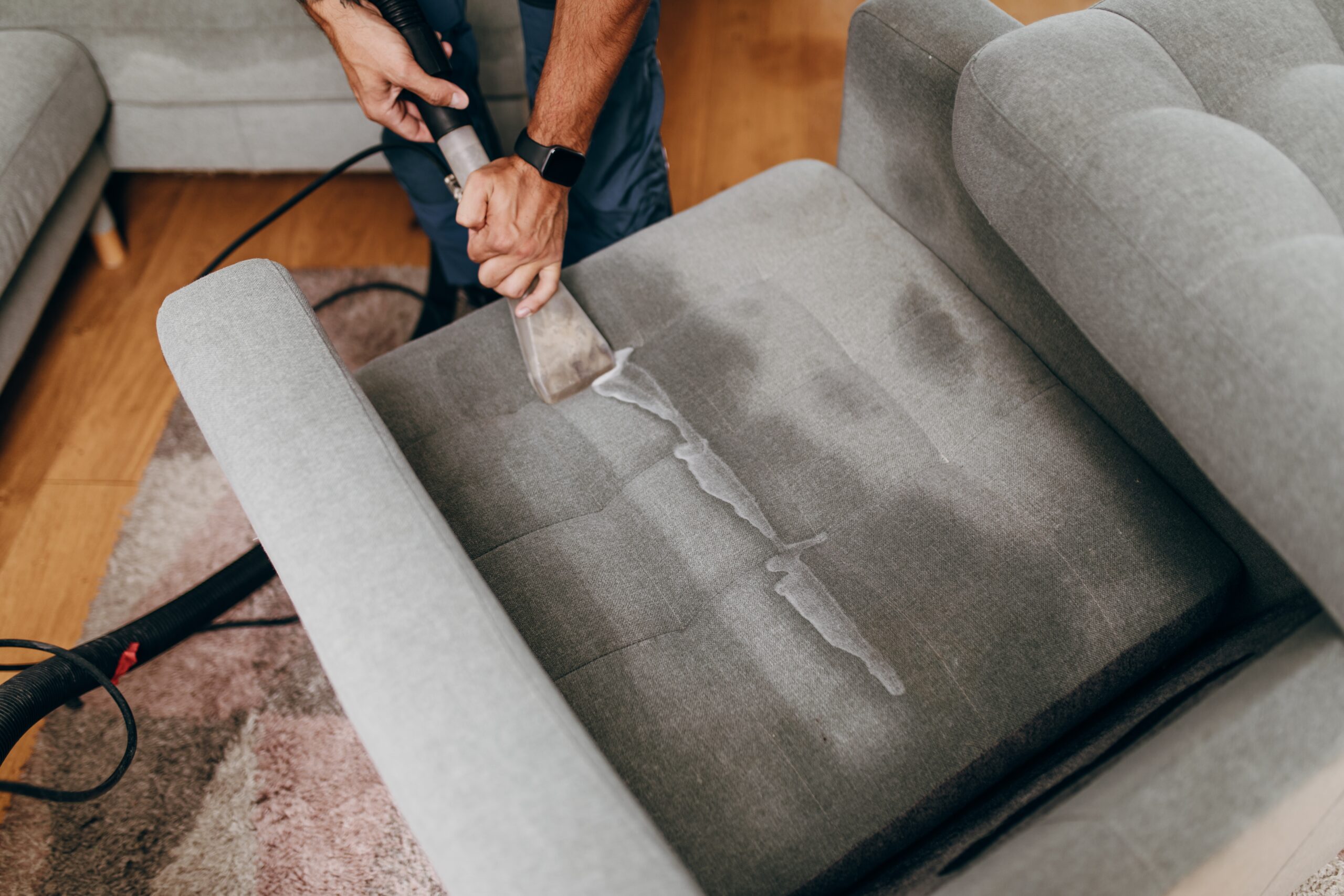 sofa cleaning